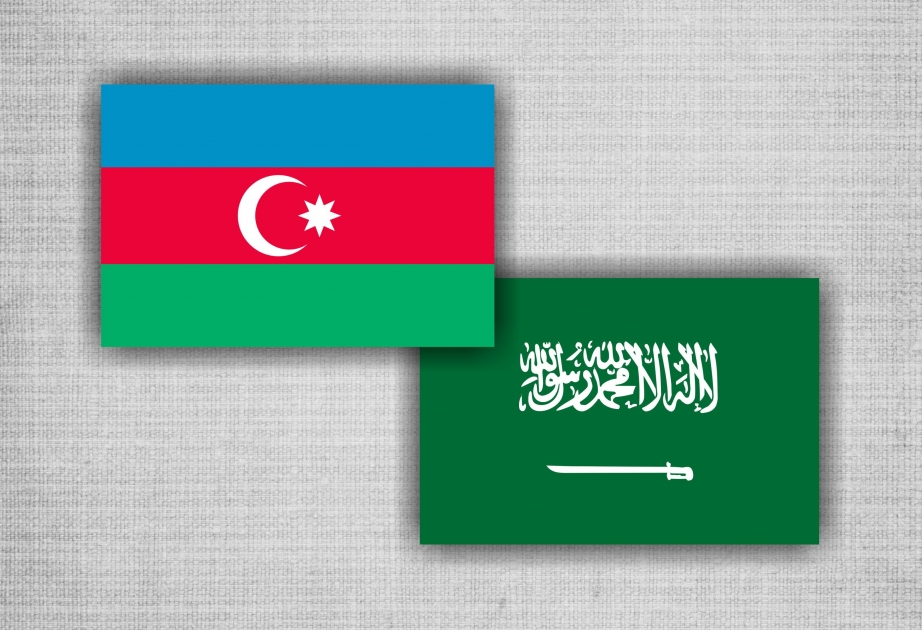 Azerbaijan, Saudi Arabia discuss energy cooperation prospects
