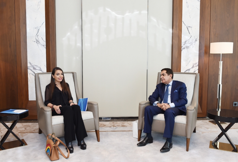Вице-президент Фонда Гейдара Алиева Лейла Алиева встретилась с верховным представителем ООН по Альянсу цивилизаций