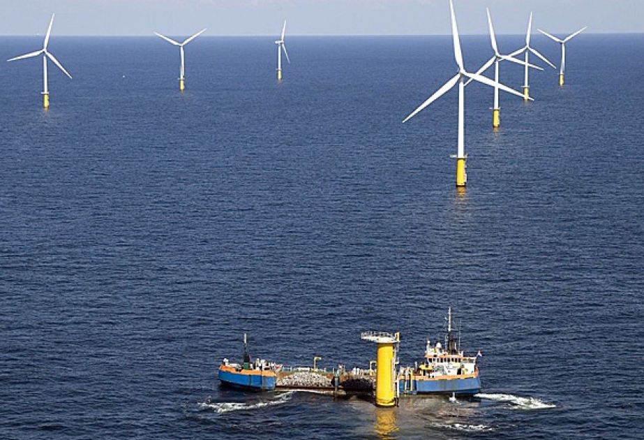 Niderland Şimal dənizində dünyanın ən böyük külək enerjisi parkını qurur