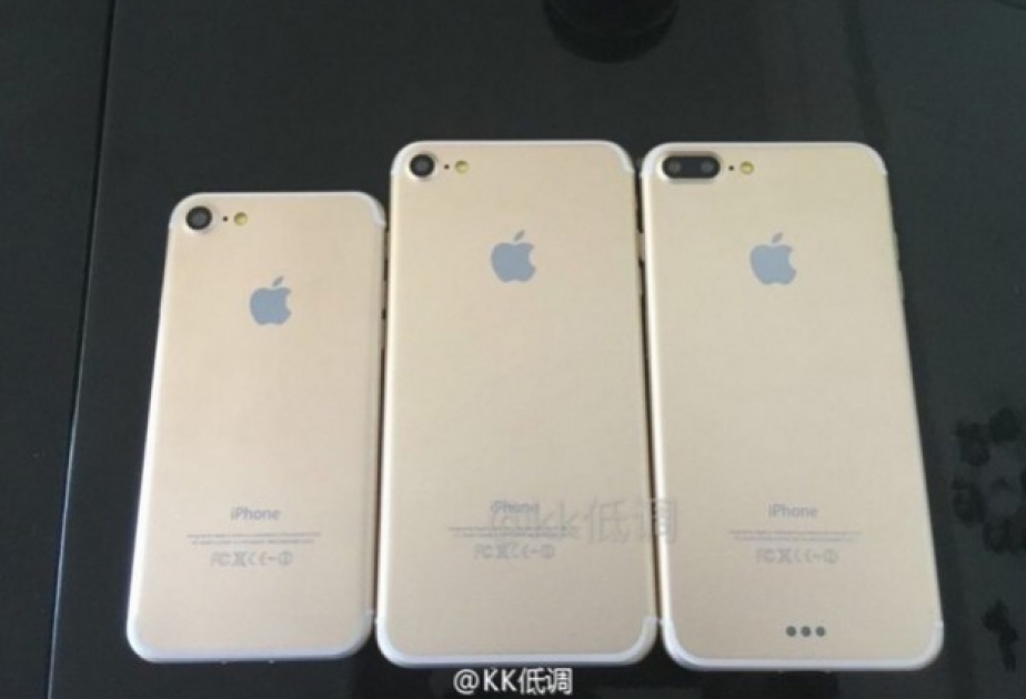 Фото сразу трех новых iPhone 