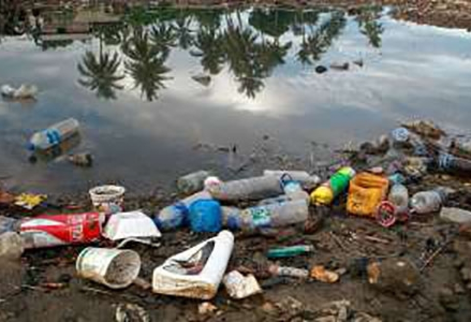 ООН намерена бороться с пластиковыми отходами в Мировом океане