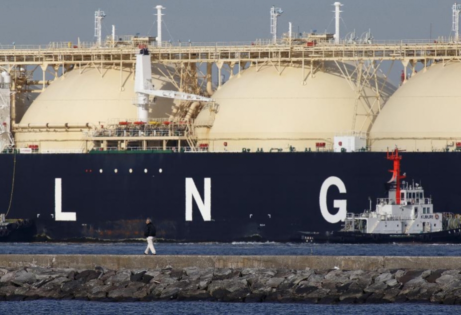 Aleksandr Medvedev: Qətərlə ərəb ölkələri arasındakı böhran qlobal LNG bazarına təsir edəcək