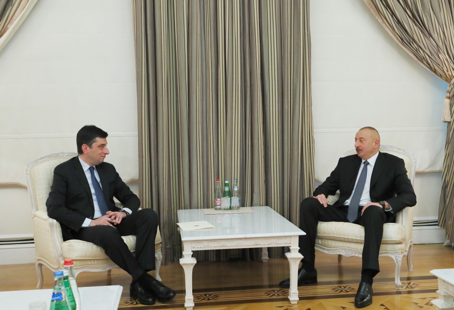 President Ilham Aliyev received delegation led by Georgian minister of economy and sustainable development VIDEO