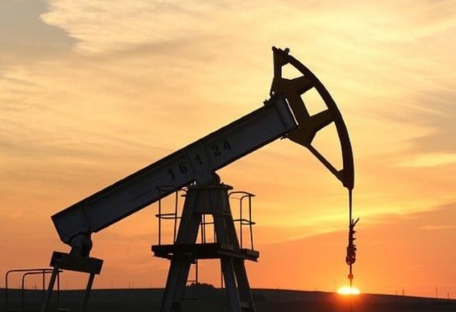 Amerika Neft İnstitutu: Ölkədə neft ehtiyatları artıb