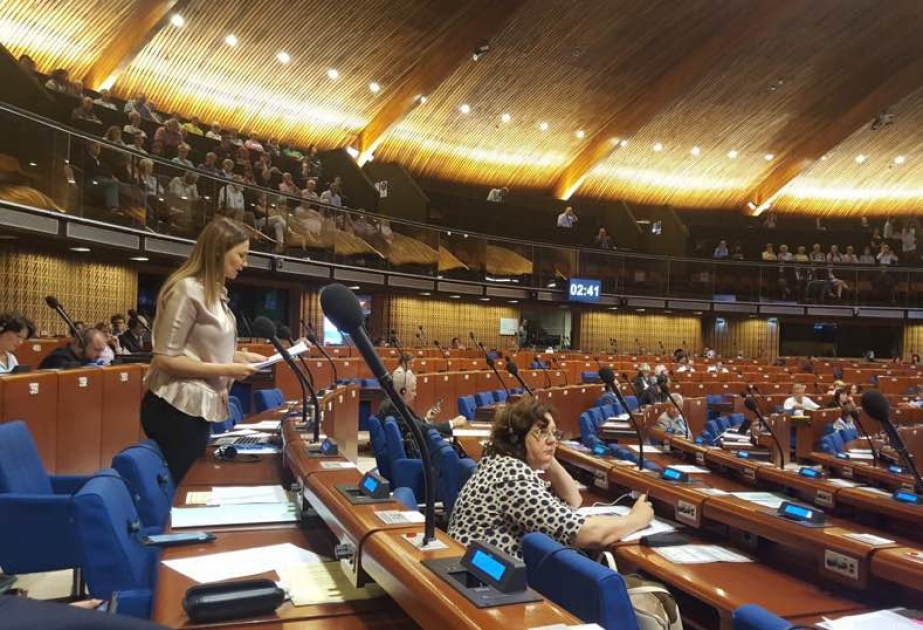 Milli Məclisin deputatı: Ermənistan terroru dövlət səviyyəsində dəstəkləyir VİDEO