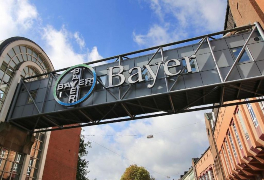 Bayer rechnet mit weiterhin unsicheren Geschäften in Brasilien