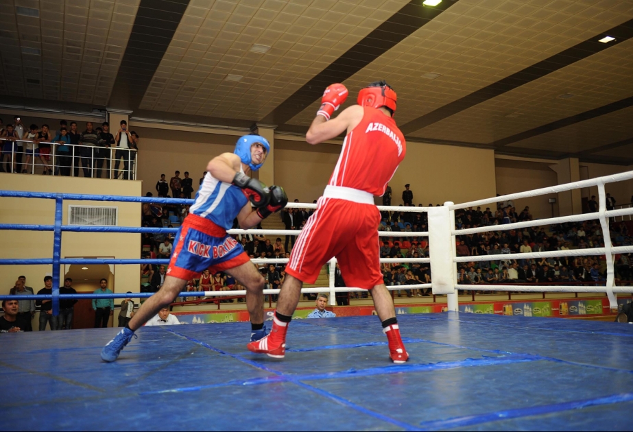 Naxçıvanlı boksçular beynəlxalq turnirdə üç medal qazanıblar
