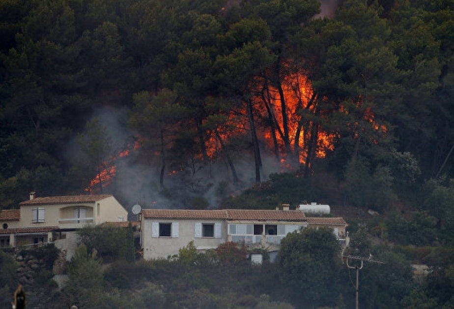 法国南部因森林火灾疏散约1万人