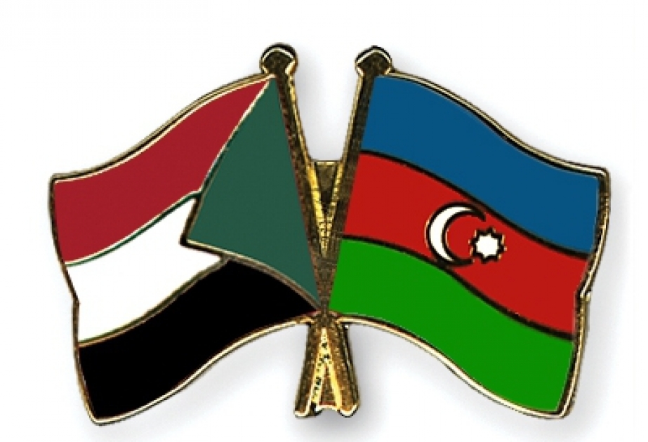 الوزير: التعاون المثمر لدى المنظمات الدولية يدفع تطوير العلاقات الأذربيجانية السودانية