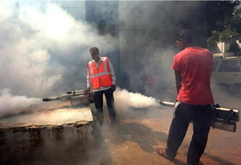 Sri Lanka leidet unter schwersten Dengue-Ausbruch