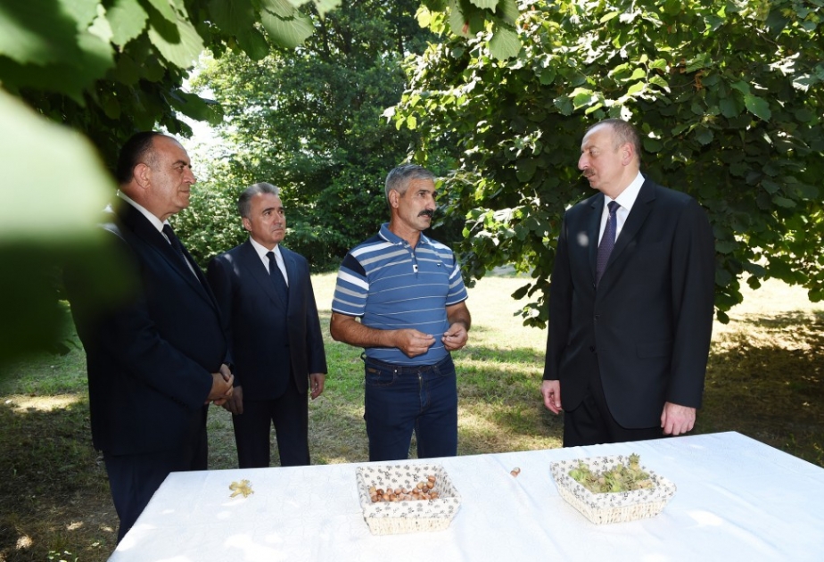 Prezident İlham Əliyev: Azərbaycan fındıq istehsalı sahəsində dünya miqyasında üçüncü yerə çıxa bilər