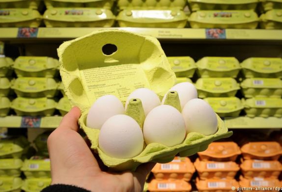 Дело об отравленных яйцах в Европе приобретает широкий размах