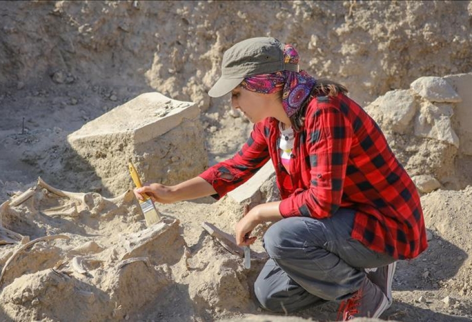 Türkiyənin Van şəhərində 2800 illik at skeleti tapılıb
