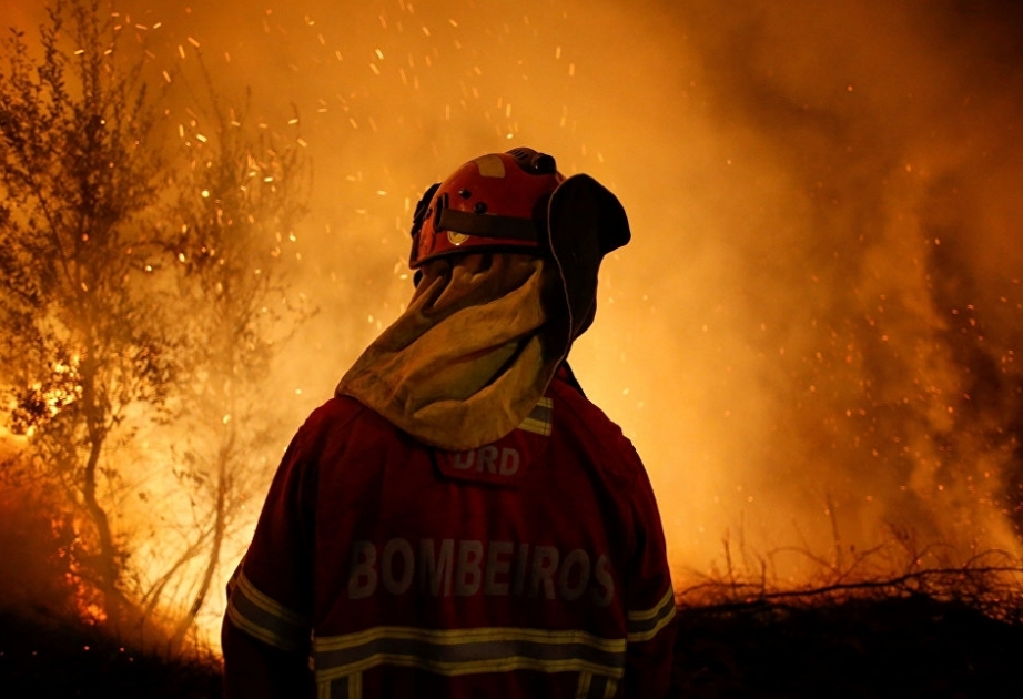Bei Waldbränden in Spanien und Portugal 39 Menschen ums Leben gekommen