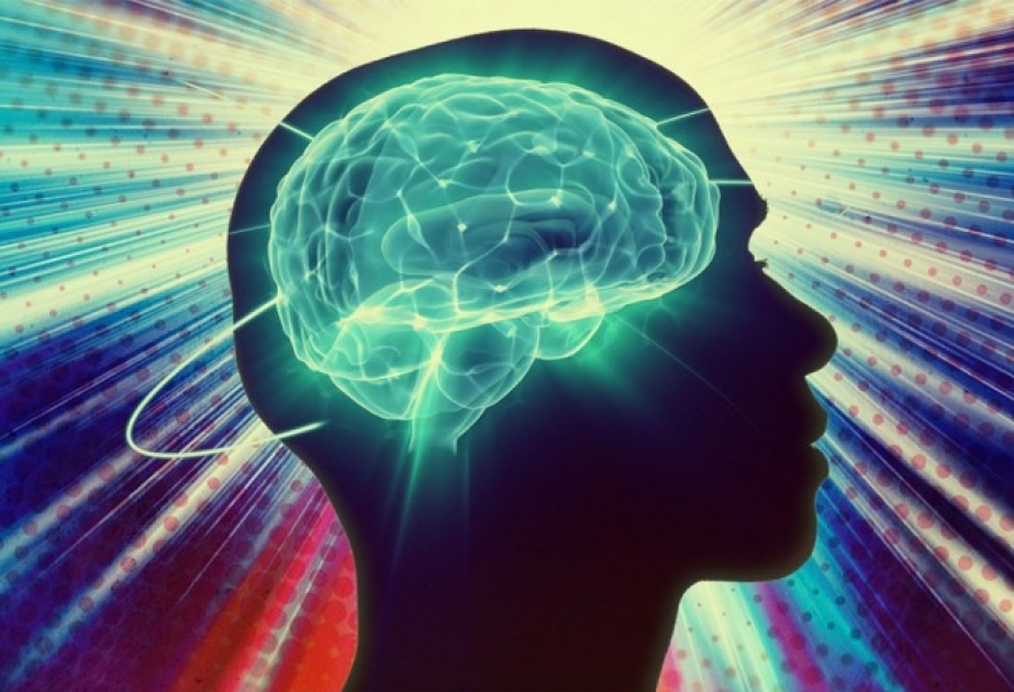 Ученые выяснили, что мозг живет после смерти