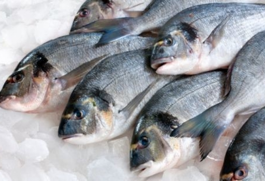 Потребление рыбы снижает смертность