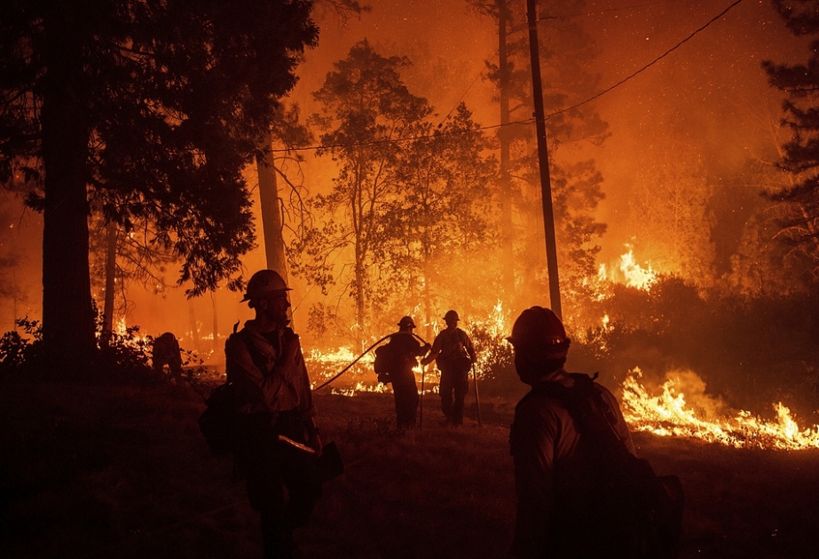 Kaliforniyada meşə yanğınları nəticəsində ölənlərin sayı 44 nəfərə çatıb