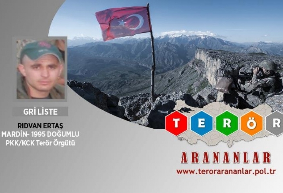 PKK terrorist on wanted list surrenders in Turkey