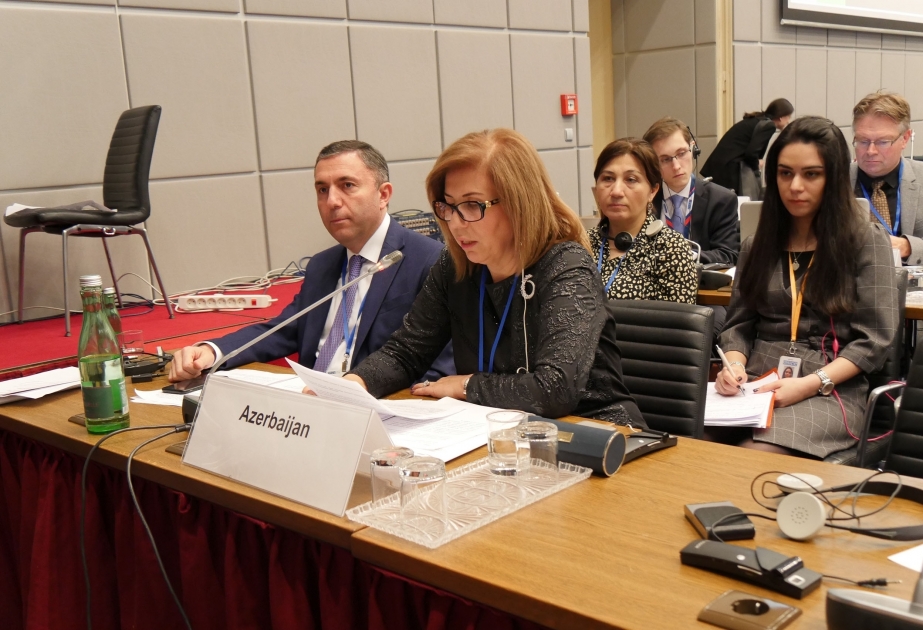 OSCE PA winter session discusses protection of human rights in emergency situations VIDEO