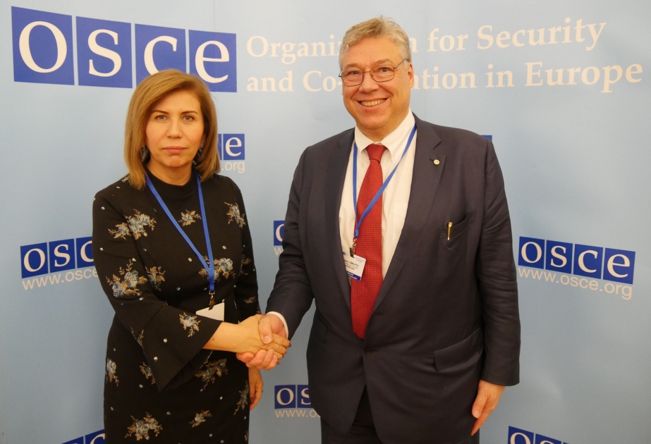 Azerbaijan, OSCE PA discuss prospects for expanding bilateral cooperation