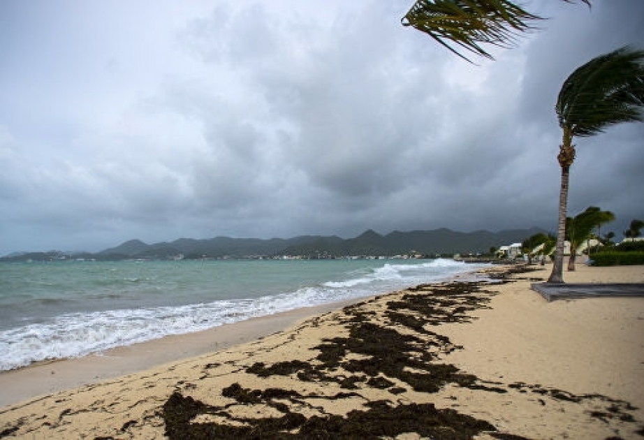 Ученые назвали новую опасность тропических ураганов в Атлантике