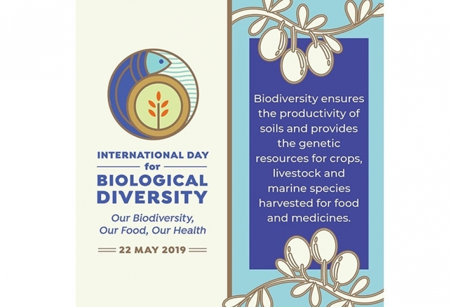 22 мая – Международный день биологического разнообразия