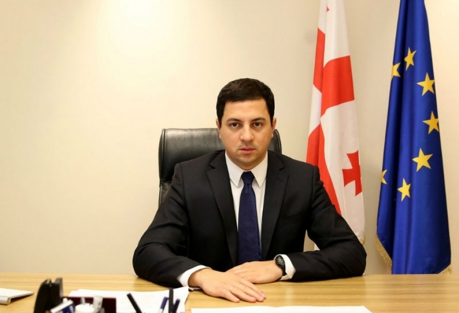 Избран новый председатель парламента Грузии