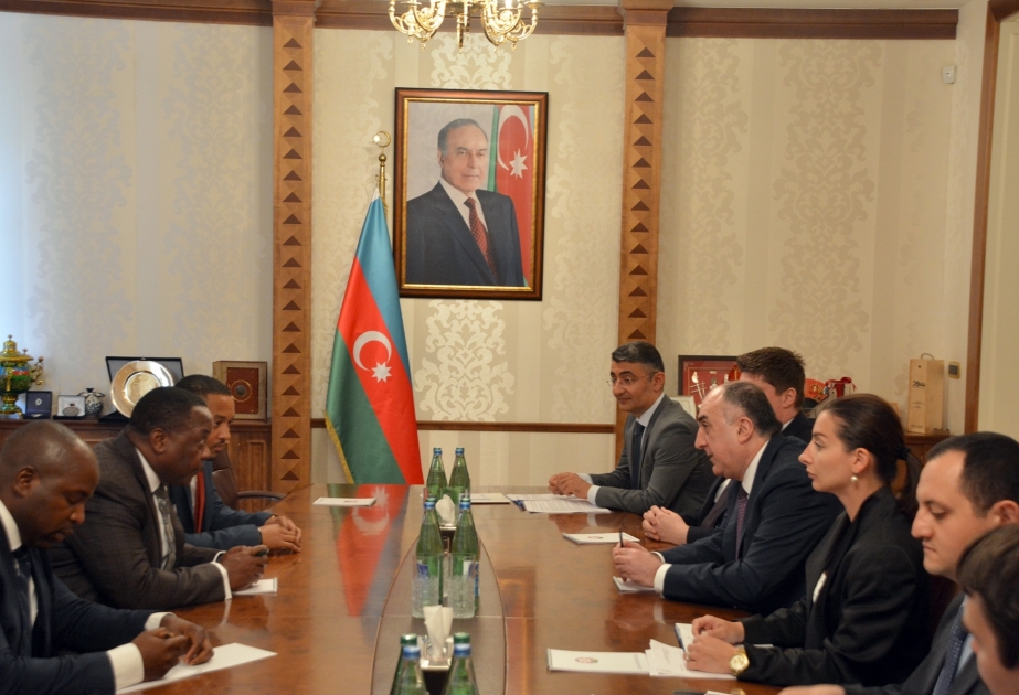 Azerbaijani FM meets with State Secretary of Mines and Hydrocarbons of Equatorial Guinea