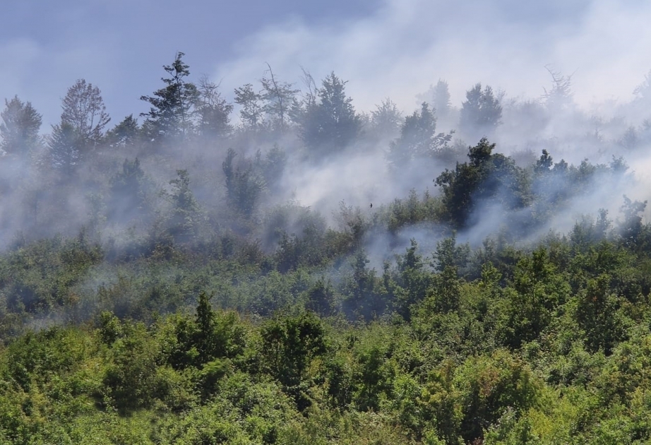 Waldbrand im Hyrkan Milli Parki: Katastrophenschutzministerium schickt weiteren Helikopter