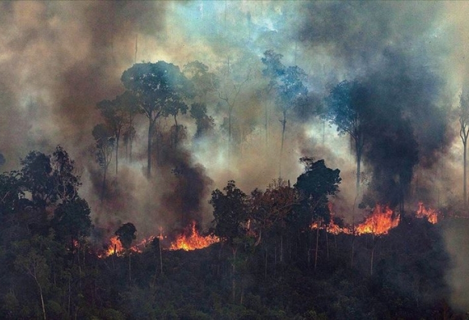 Heftige Waldbrände im Amazonasgebiet
