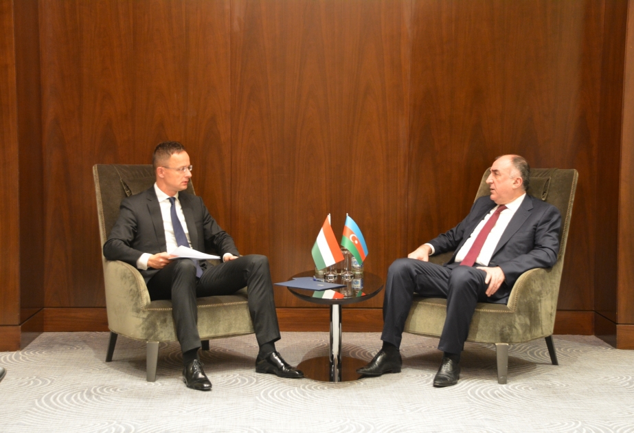 Azerbaijani Foreign Minister meets with Hungarian counterpart