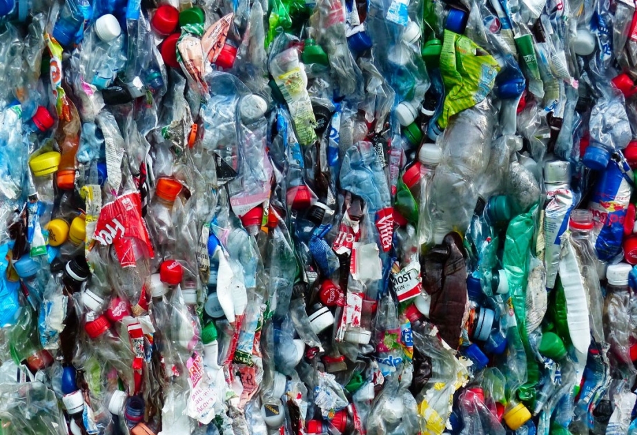 В Туркменистане запустили экологическую акцию по сбору пластика в обмен на саженцы