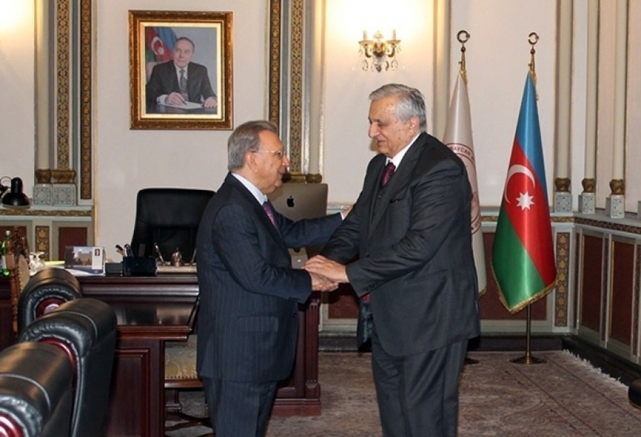 El académico Ramiz Mehdiyev se reunió con el vicepresidente de la Academia Nacional de Ciencias de Georgia