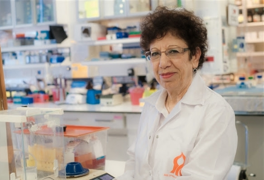 Israeli researchers make breakthrough in the fight against lupus