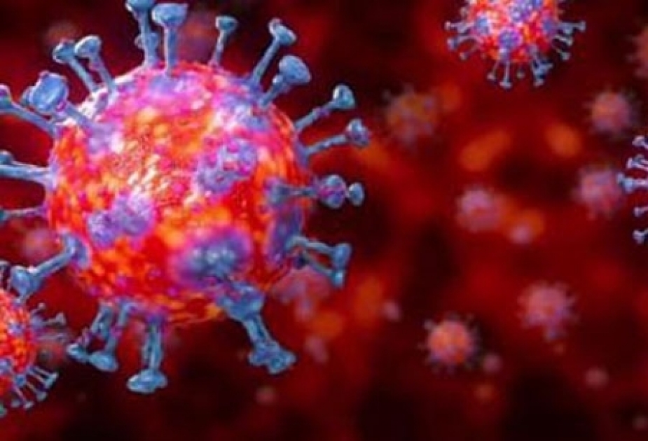Turkey: Death toll from coronavirus rises to 131