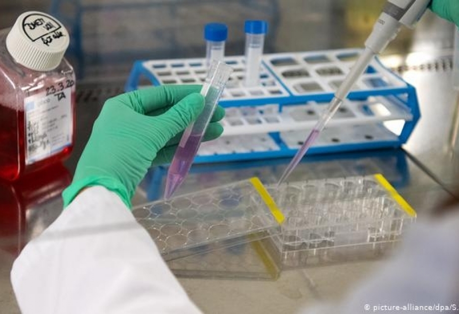 Количество тестирований на коронавирус в Украине увеличат в 5 раз
