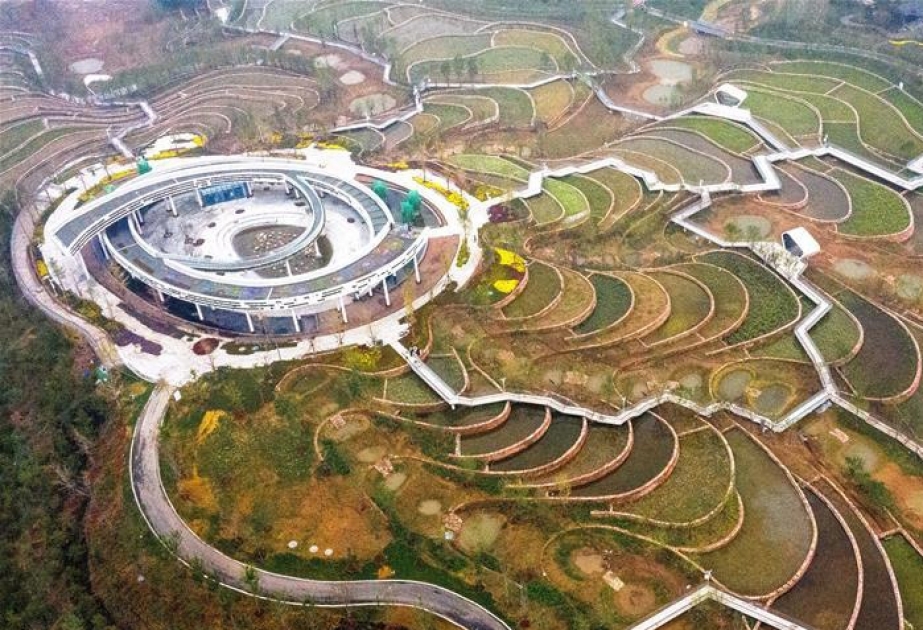 Çində keçmiş sənaye biyabanı çiçəklənən parka çevrilib