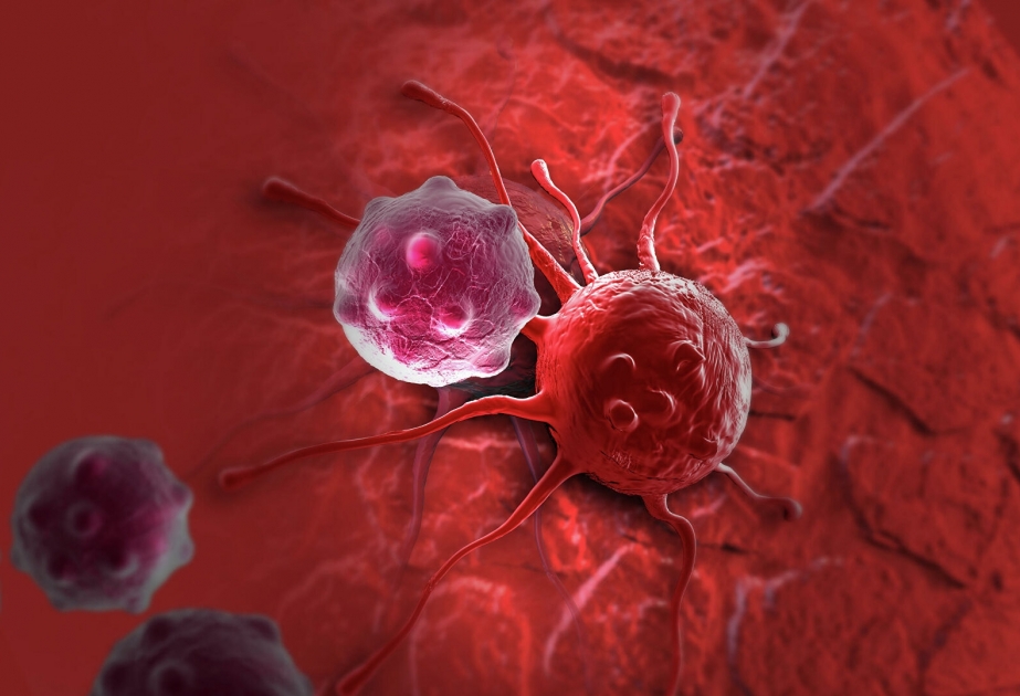 Найден новый способ убить раковые клетки