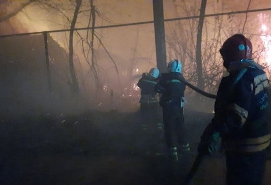 Mindestens neun Tote bei Waldbränden in der Ostukraine