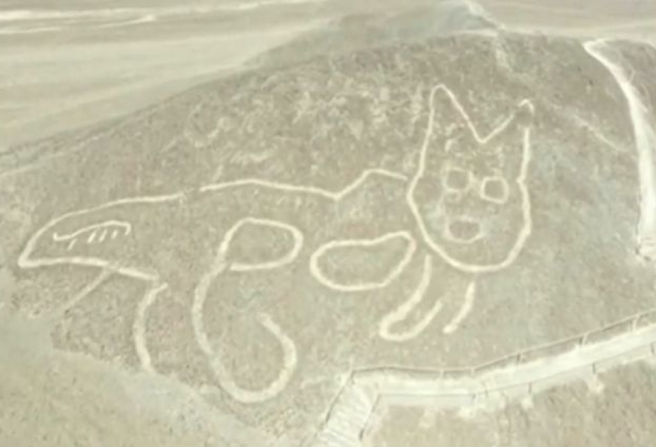 В Перу археологи обнаружили огромный геоглиф кошки