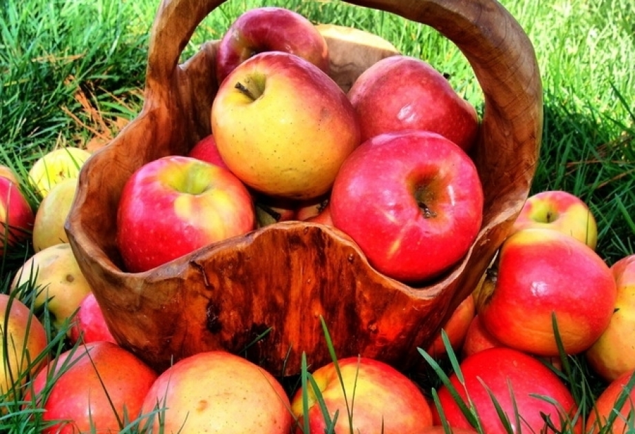 Aserbaidschanische Apfelexporte gehen zurück