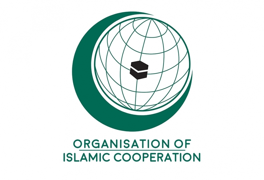 OIC condemns linking Islam with terrorism