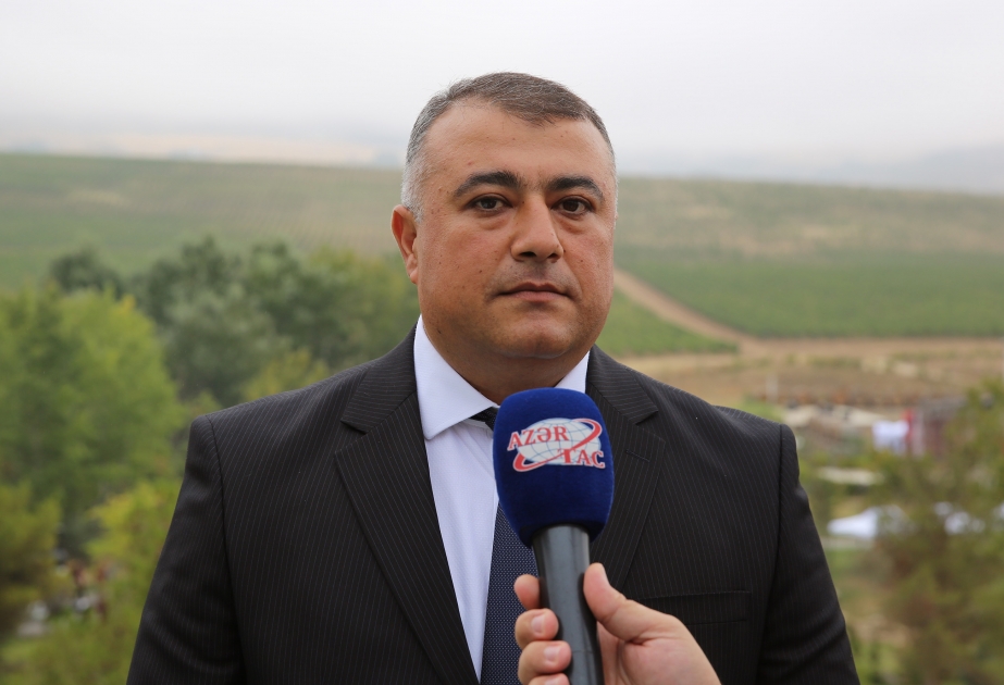 Vüqar Hüseynov: Azad olunmuş ərazilərimizdə aqrar sektorun bərpası kənd təsərrüfatının daha da inkişafı üçün real zəmin yaradacaq