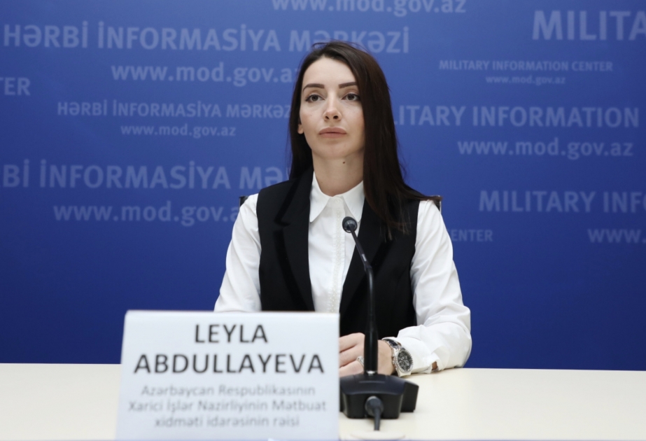 Лейла Абдуллаева: Уважение территориальной целостности является для нас принципиальной позицией