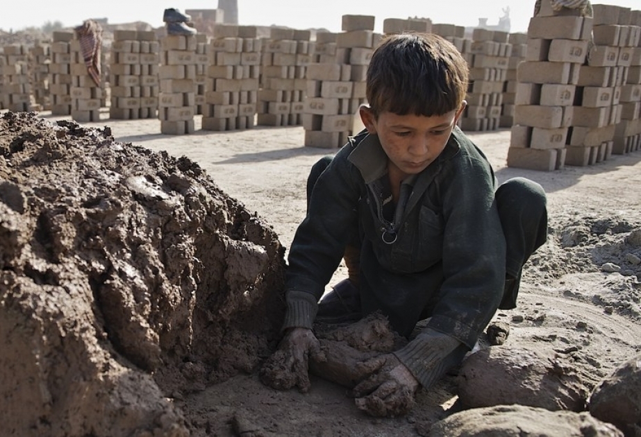 В ООН дали официальный старт Международному году искоренения детского труда