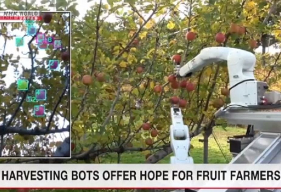 Fruit-picking robot to help farmers with harvests