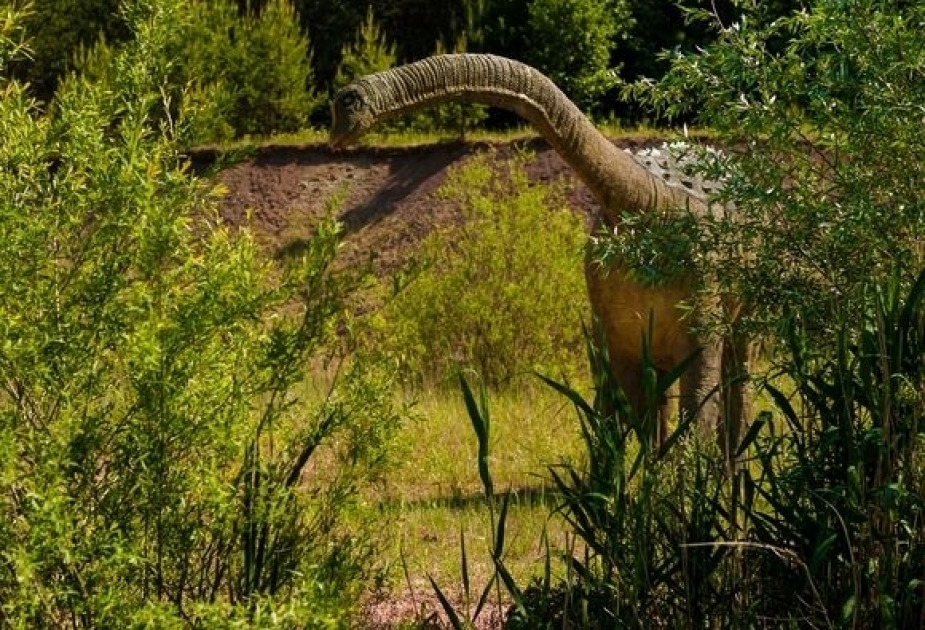 В Южной Америке обнаружили самого древнего титанозавра в мире