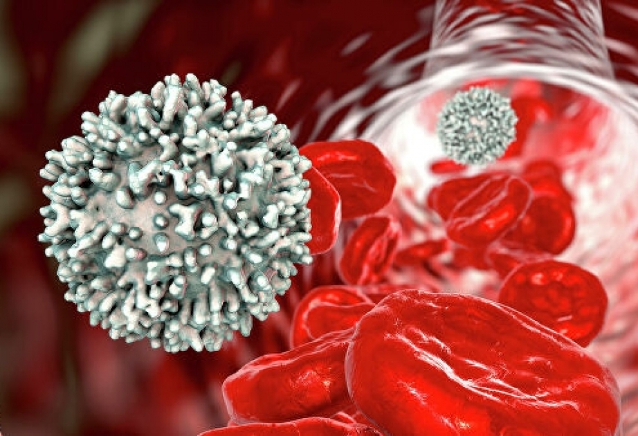 Израильские ученые выяснили, как коронавирус влияет на сосуды