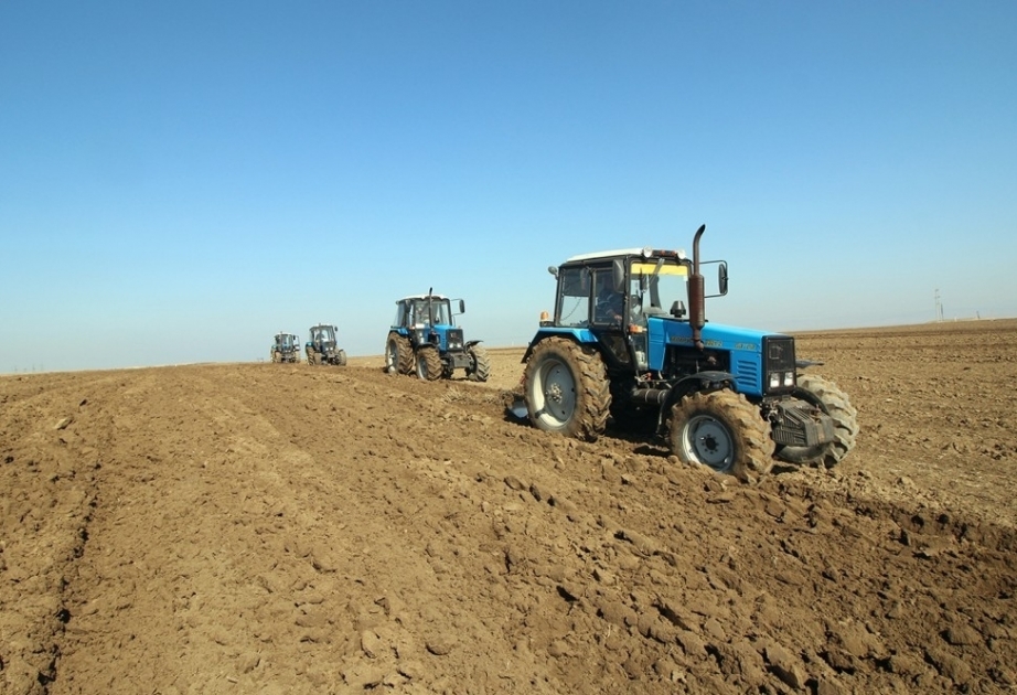 حراثة شتوية لـ3 آلاف و200 هكتار من الحقول لزراعة القطن في ترتر حتى الآن