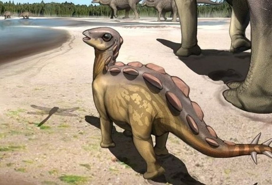 Палеонтологи нашли в Китае самый маленький след стегозавра
